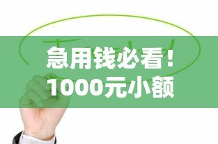 急用钱必看！1000元小额贷款平台推荐及申请指南