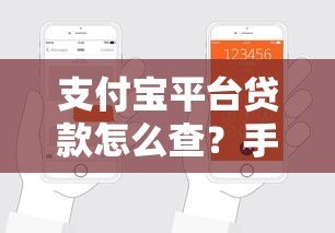 支付宝平台贷款怎么查?手把手教你快速申请及注意事项 支付宝平台贷款怎么查?手把手教你快速申请及注意事项