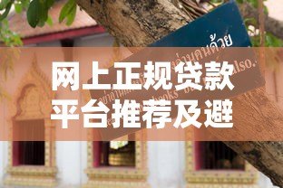 网上正规贷款平台推荐及避坑指南 网上正规贷款平台推荐及避坑指南