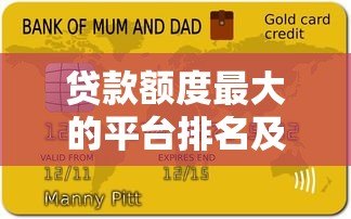 贷款额度最大的平台排名及申请指南 贷款额度最大的平台排名及申请指南