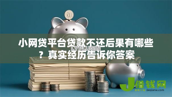 小网贷平台贷款不还后果有哪些?真实经历告诉你答案 小网贷平台贷款不还后果有哪些?真实经历告诉你答案