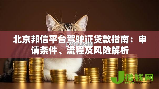 北京邦信平台驾驶证贷款指南:申请条件、流程及风险解析 北京邦信平台驾驶证贷款指南:申请条件、流程及风险解析