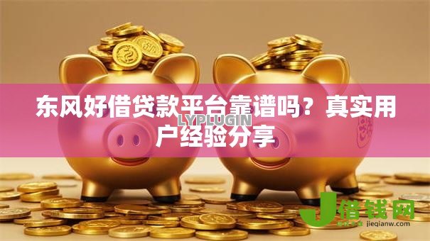 东风好借贷款平台靠谱吗？真实用户经验分享