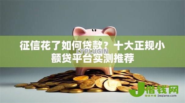 征信花了如何贷款?十大正规小额贷平台实测推荐 征信花了如何贷款?十大正规小额贷平台实测推荐