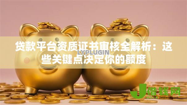 贷款平台资质证书审核全解析:这些关键点决定你的额度 贷款平台资质证书审核全解析:这些关键点决定你的额度