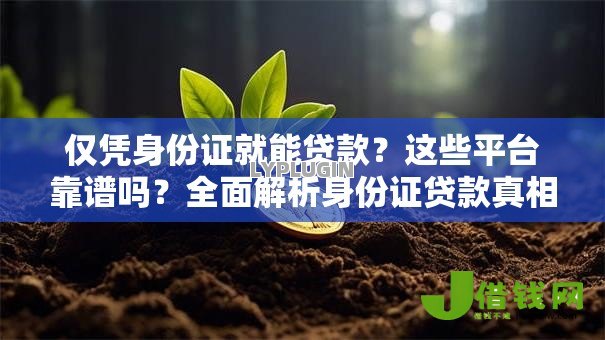 仅凭身份证就能贷款？这些平台靠谱吗？全面解析身份证贷款真相