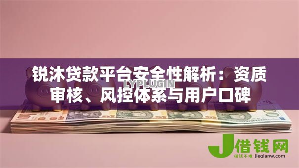锐沐贷款平台安全性解析：资质审核、风控体系与用户口碑