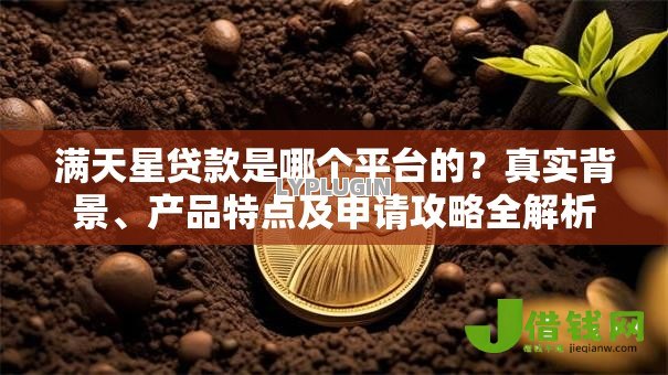 满天星贷款是哪个平台的?真实背景、产品特点及申请攻略全解析 满天星贷款是哪个平台的?真实背景、产品特点及申请攻略全解析