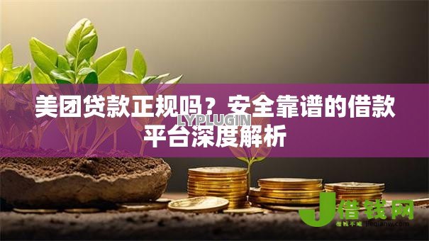美团贷款正规吗?安全靠谱的借款平台深度解析 美团贷款正规吗?安全靠谱的借款平台深度解析