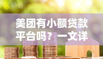 美团有小额贷款平台吗?一文详解美团借贷服务与申请攻略 美团有小额贷款平台吗?一文详解美团借贷服务与申请攻略