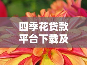 四季花贷款平台下载及使用全攻略 四季花贷款平台下载及使用全攻略