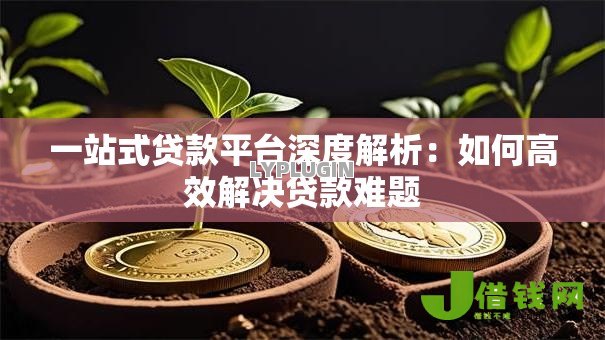 一站式贷款平台深度解析:如何高效解决贷款难题 一站式贷款平台深度解析:如何高效解决贷款难题