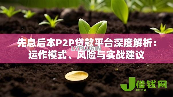 先息后本P2P贷款平台深度解析:运作模式、风险与实战建议 先息后本P2P贷款平台深度解析:运作模式、风险与实战建议