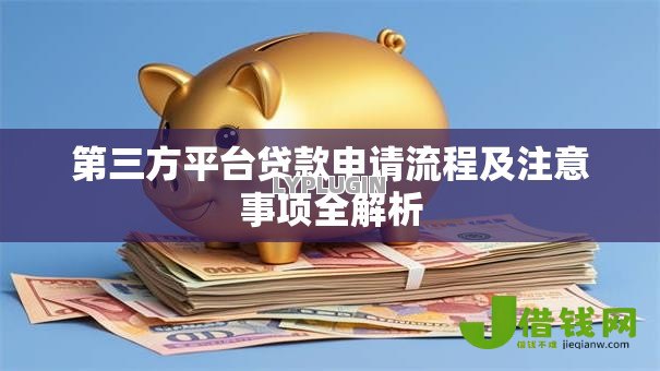 第三方平台贷款申请流程及注意事项全解析 第三方平台贷款申请流程及注意事项全解析