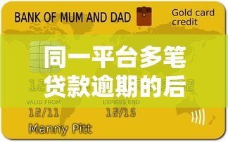 同一平台多笔贷款逾期的后果与解决方法