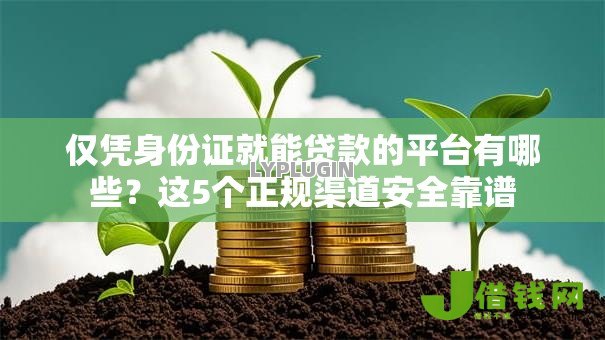 仅凭身份证就能贷款的平台有哪些？这5个正规渠道安全靠谱