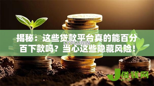 揭秘:这些贷款平台真的能百分百下款吗?当心这些隐藏风险! 揭秘:这些贷款平台真的能百分百下款吗?当心这些隐藏风险!