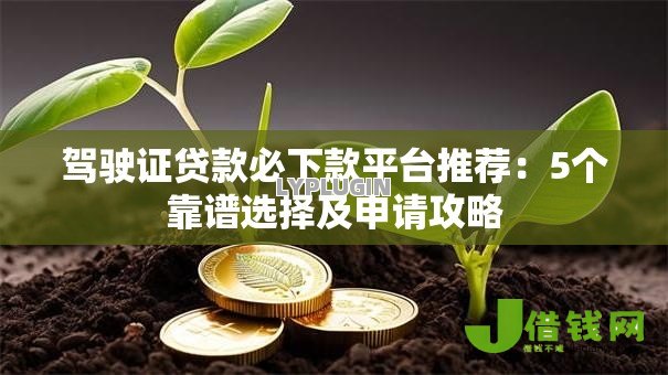 驾驶证贷款必下款平台推荐:5个靠谱选择及申请攻略 驾驶证贷款必下款平台推荐:5个靠谱选择及申请攻略
