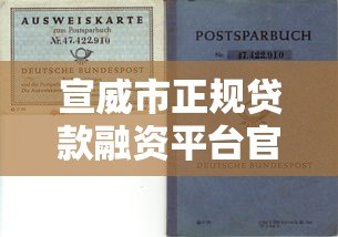 宣威市正规贷款融资平台官网指南:快速解决资金需求 宣威市正规贷款融资平台官网指南:快速解决资金需求