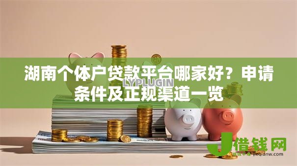 湖南个体户贷款平台哪家好?申请条件及正规渠道一览 湖南个体户贷款平台哪家好?申请条件及正规渠道一览