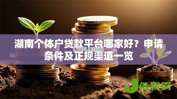 湖南个体户贷款平台哪家好?申请条件及正规渠道一览 湖南个体户贷款平台哪家好?申请条件及正规渠道一览