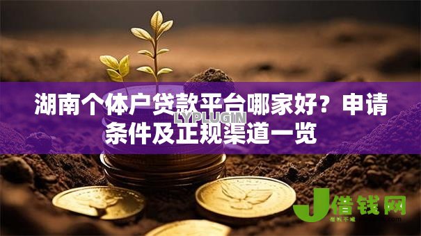 湖南个体户贷款平台哪家好?申请条件及正规渠道一览 湖南个体户贷款平台哪家好?申请条件及正规渠道一览