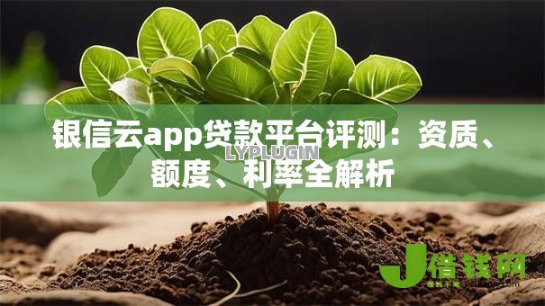 银信云app贷款平台评测:资质、额度、利率全解析 银信云app贷款平台评测:资质、额度、利率全解析