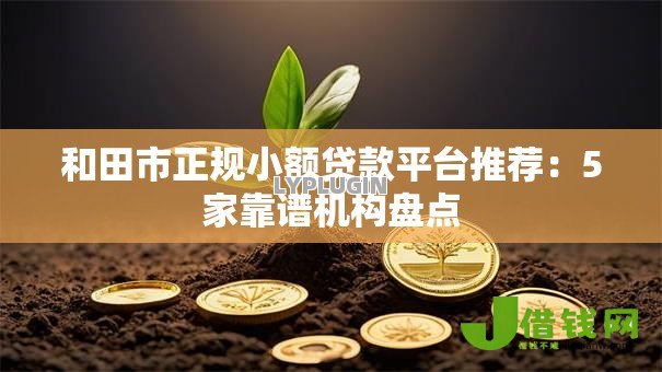 和田市正规小额贷款平台推荐：5家靠谱机构盘点