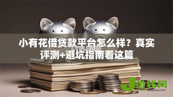 小有花借贷款平台怎么样？真实评测+避坑指南看这篇