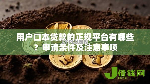 用户口本贷款的正规平台有哪些？申请条件及注意事项
