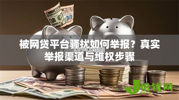 被网贷平台骚扰如何举报？真实举报渠道与维权步骤