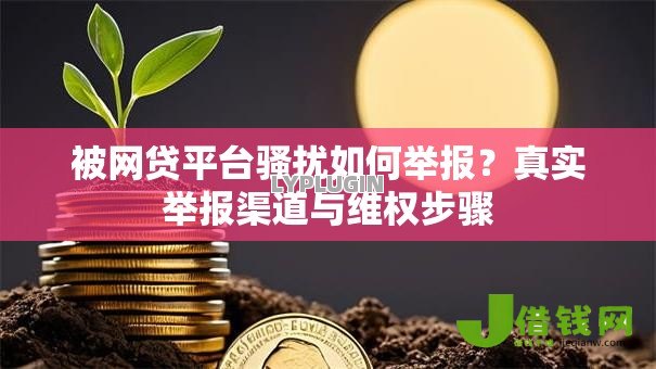 被网贷平台骚扰如何举报？真实举报渠道与维权步骤