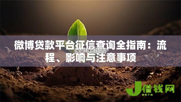 微博贷款平台征信查询全指南：流程、影响与注意事项