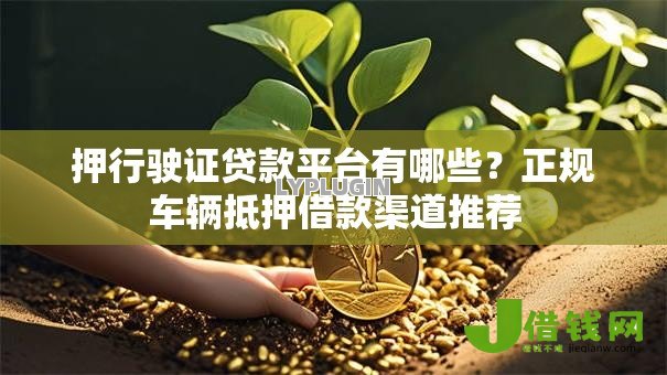 押行驶证贷款平台有哪些？正规车辆抵押借款渠道推荐