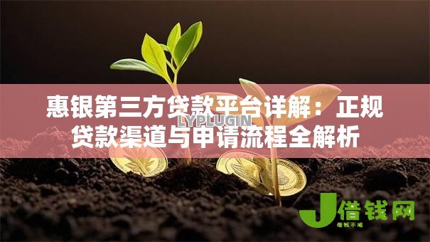 惠银第三方贷款平台详解：正规贷款渠道与申请流程全解析