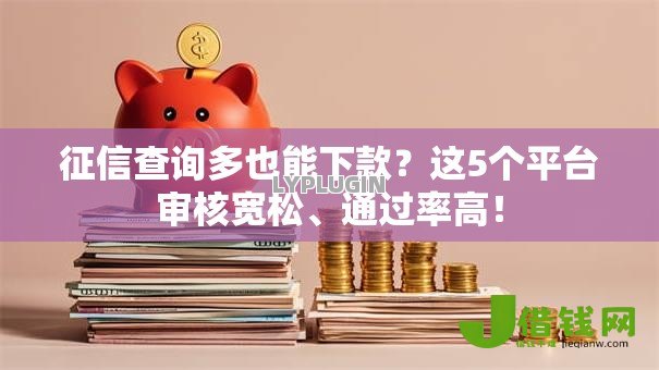 征信查询多也能下款？这5个平台审核宽松、通过率高！