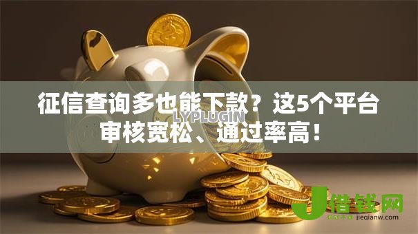 征信查询多也能下款？这5个平台审核宽松、通过率高！