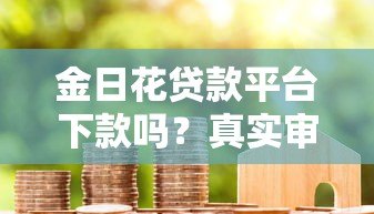 金日花贷款平台下款吗？真实审核流程与用户经验解析