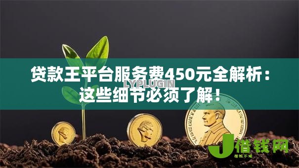 贷款王平台服务费450元全解析：这些细节必须了解！