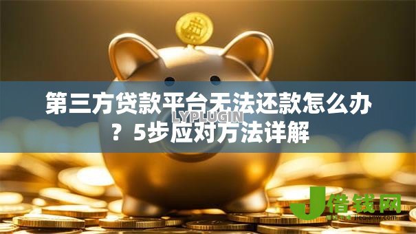 第三方贷款平台无法还款怎么办？5步应对方法详解