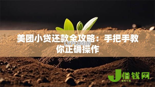 美团小贷还款全攻略:手把手教你正确操作 美团小贷还款全攻略:手把手教你正确操作