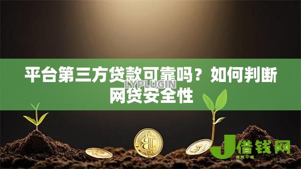平台第三方贷款可靠吗?如何判断网贷安全性 平台第三方贷款可靠吗?如何判断网贷安全性