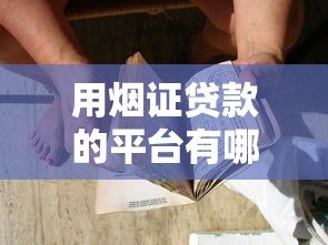 用烟证贷款的平台有哪些？这5家正规渠道可申请