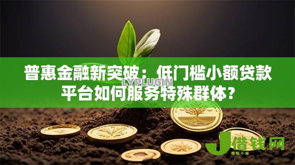普惠金融新突破：低门槛小额贷款平台如何服务特殊群体？