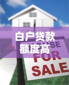白户贷款额度高的平台推荐及申请技巧