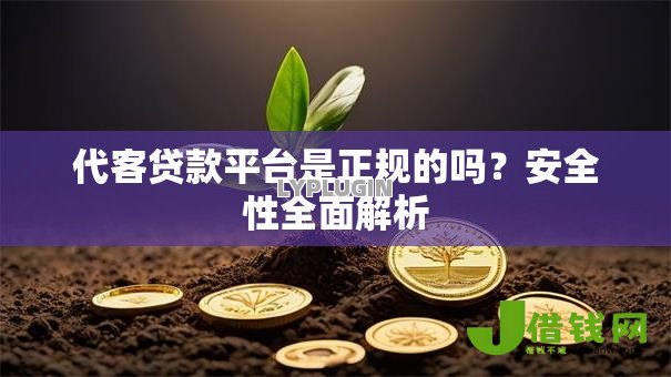 代客贷款平台是正规的吗？安全性全面解析