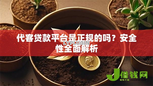 代客贷款平台是正规的吗？安全性全面解析