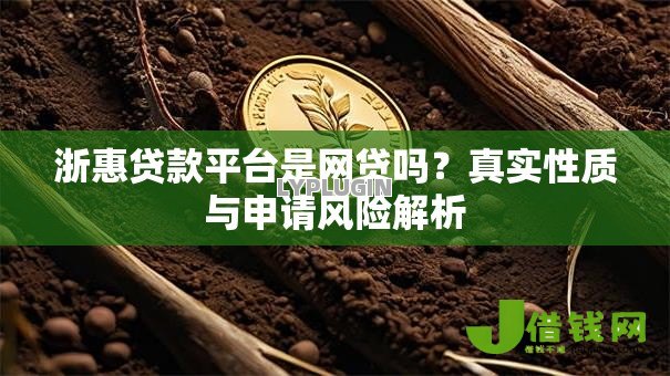 浙惠贷款平台是网贷吗?真实性质与申请风险解析 浙惠贷款平台是网贷吗?真实性质与申请风险解析