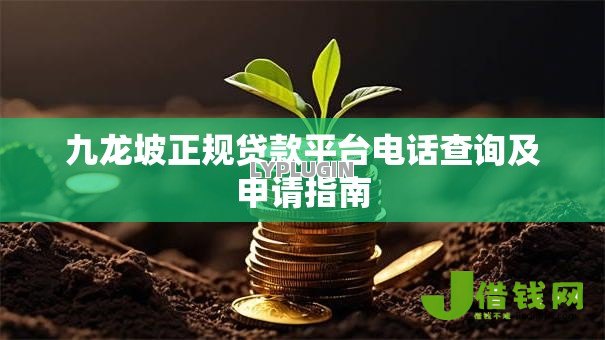 九龙坡正规贷款平台电话查询及申请指南 九龙坡正规贷款平台电话查询及申请指南