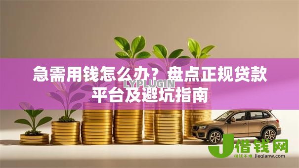 急需用钱怎么办?盘点正规贷款平台及避坑指南 急需用钱怎么办?盘点正规贷款平台及避坑指南
